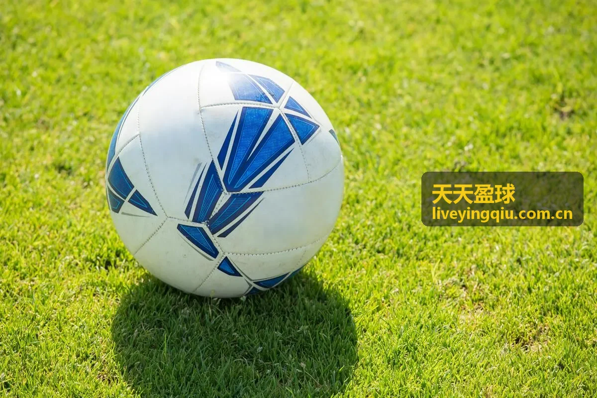 天天盈球首席分析师 - 赛事战术解读专家
